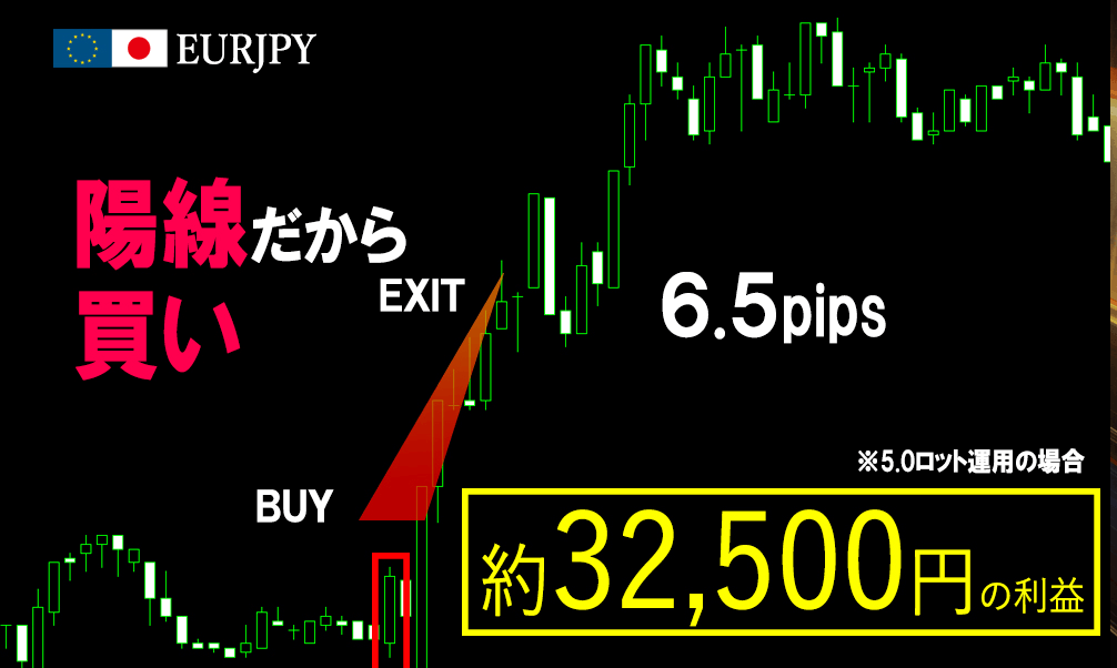 モンスタースキャルFX
実績